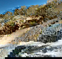 Oxley Walking Track - New Castle Holiday