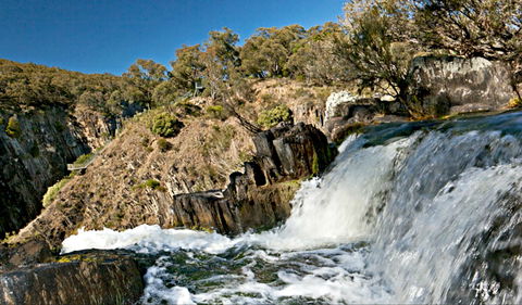 Oxley Walking Track - New Castle Holiday 0