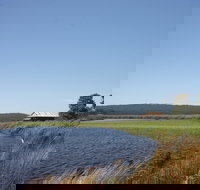 Panboola Wetlands - New Castle Holiday