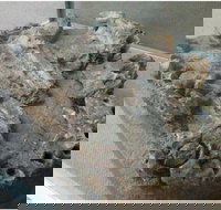 Pioneer Valley Museum - New Castle Holiday