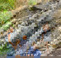 Queens Park Waterfall - New Castle Holiday