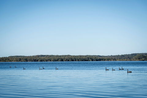 Queens Lake Picnic Area - New Castle Holiday 1