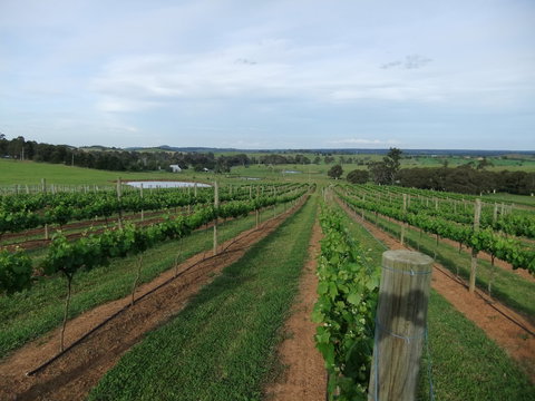 Razorback, Cawdor, Camden Park - New Castle Holiday 0