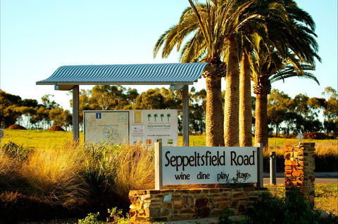 Seppeltsfield Road Barossa Valley - New Castle Holiday 2
