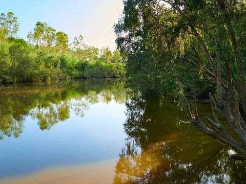Shapcott Park - New Castle Holiday 1