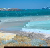 Singleton - New Castle Holiday