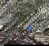 Six Mile Creek Bluff Lookout and Little White Rock Trails - New Castle Holiday