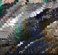 Skirmish Sunshine Coast Outdoor Paintball - New Castle Holiday