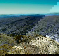 Tapin Tops National Park - New Castle Holiday