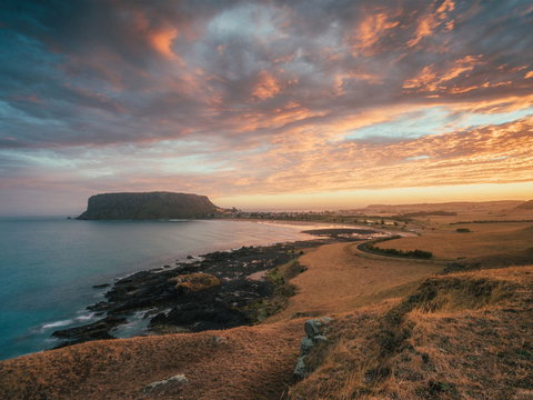 The Nut - New Castle Holiday 2