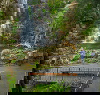 The Falls Walk Budderoo National Park - New Castle Holiday