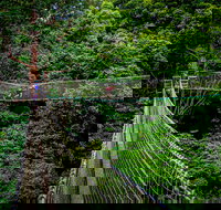 Thunderbird Park  - Tamborine Mountain Gold Coast Region - New Castle Holiday