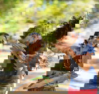 Tjapukai Aboriginal Cultural Park - New Castle Holiday