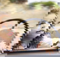 Toddler Thursdays at Werribee Open Range Zoo - New Castle Holiday