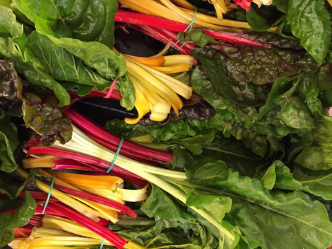 Tomerong Markets - New Castle Holiday 1