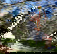 TreeTops Western Sydney - New Castle Holiday