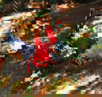 Trees Adventure - Glen Harrow Park - New Castle Holiday