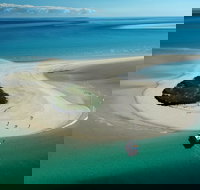 Turtle Discovery - New Castle Holiday