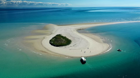 Turtle Discovery - New Castle Holiday 0