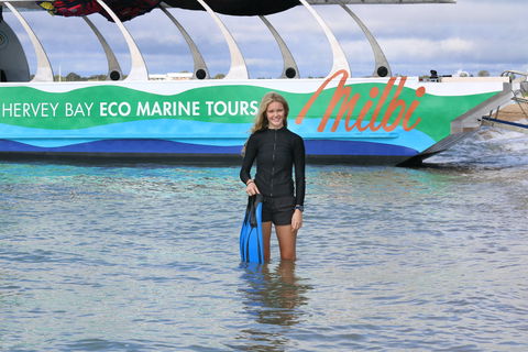 Turtle Discovery - New Castle Holiday 1