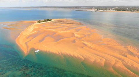 Turtle Discovery - New Castle Holiday 2