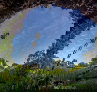 Umpherston Sinkhole - New Castle Holiday