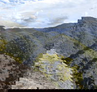 Vale of Avoca - New Castle Holiday