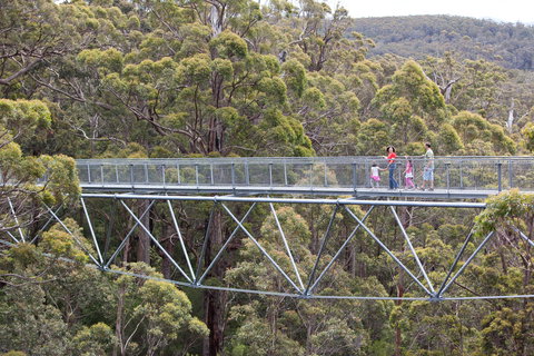 Walpole Wilderness Discovery Centre - New Castle Holiday 1