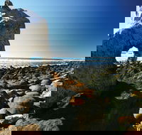 Wallabi Point - New Castle Holiday