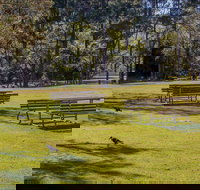 Wombeyan picnic area - New Castle Holiday