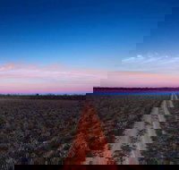 Yanga National Park - New Castle Holiday