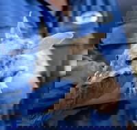 9 Day Outback Adventure - New Castle Holiday