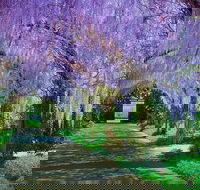 Alowyn Gardens and Nursery - New Castle Holiday