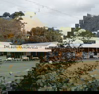 Auburn - New Castle Holiday