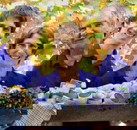 Bella Lavender Estate - New Castle Holiday