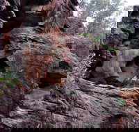 Bertha's Gully Walking Track - New Castle Holiday