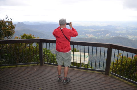 Best Of All Lookout Track, Springbrook National Park - New Castle Holiday 0