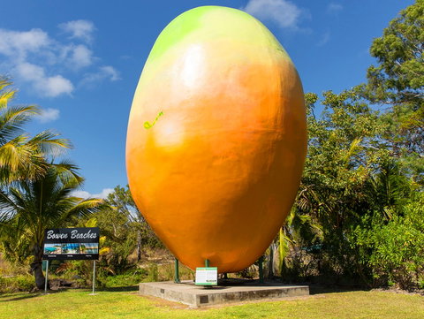 Big Mango - New Castle Holiday 0