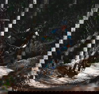 Boomerang Farm Bike Park - New Castle Holiday