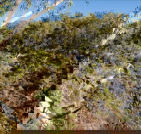 Boonoo Boonoo Falls picnic area - New Castle Holiday