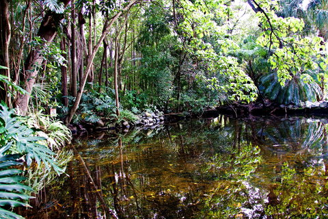 Cascade Gardens - New Castle Holiday 2