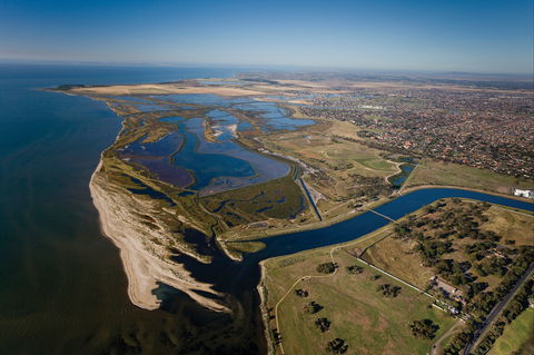 Cheetham Wetlands - New Castle Holiday 0