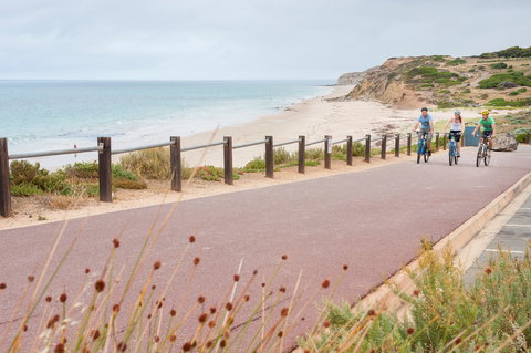 Coast To Vines Rail Trail - New Castle Holiday 0