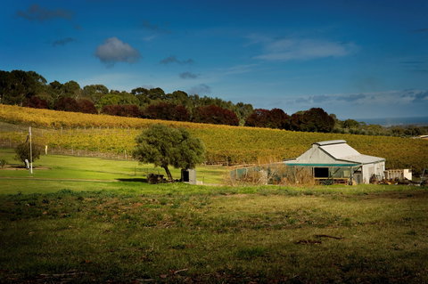 Coast To Vines Rail Trail - New Castle Holiday 2