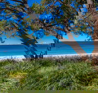 Collingwood Beach - New Castle Holiday