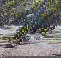 Coolah Tops National Park - New Castle Holiday