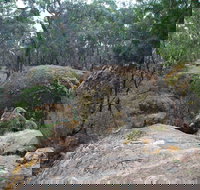 Dergholm State Park - New Castle Holiday