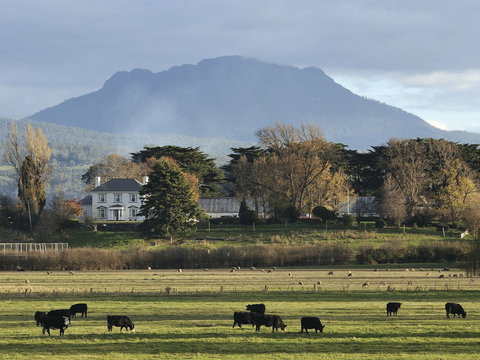 Devonport - New Castle Holiday 1