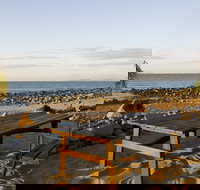 Dolphin Heads - New Castle Holiday