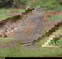 Donnelly River - New Castle Holiday